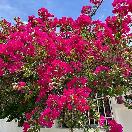 Les Villas Du Bambou - Villa Paprika Jusqu'A 6 Pers Le Gosier  Esterno foto